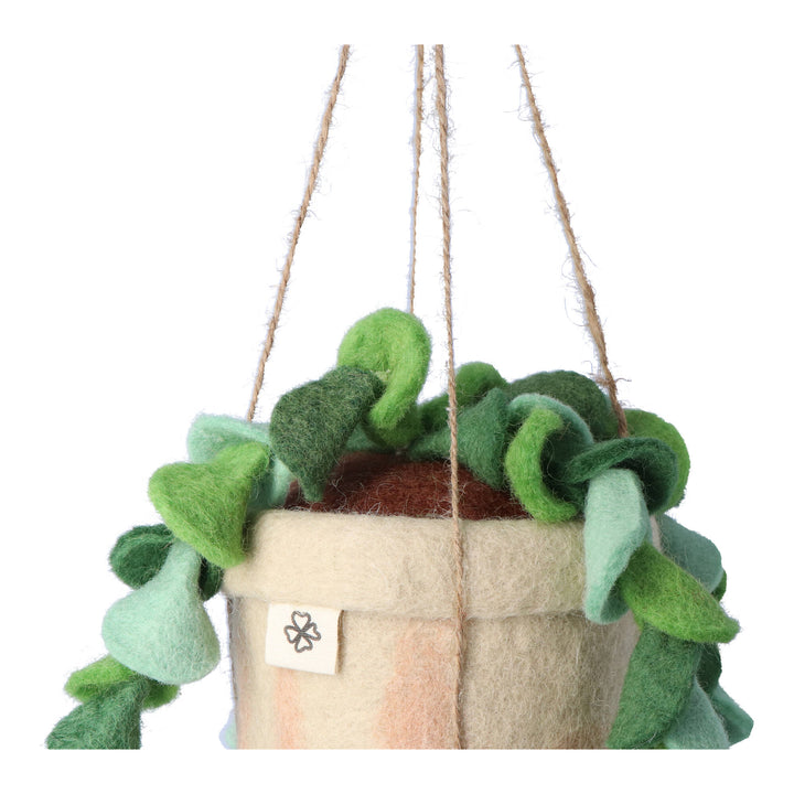 Felt Hanging Plant