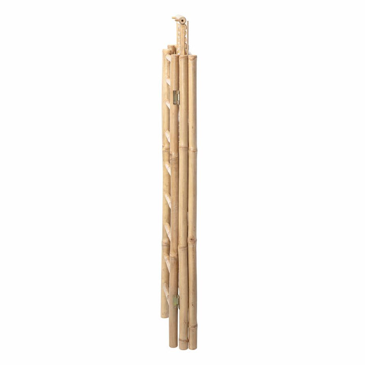 Bookcase Zep - Bamboo