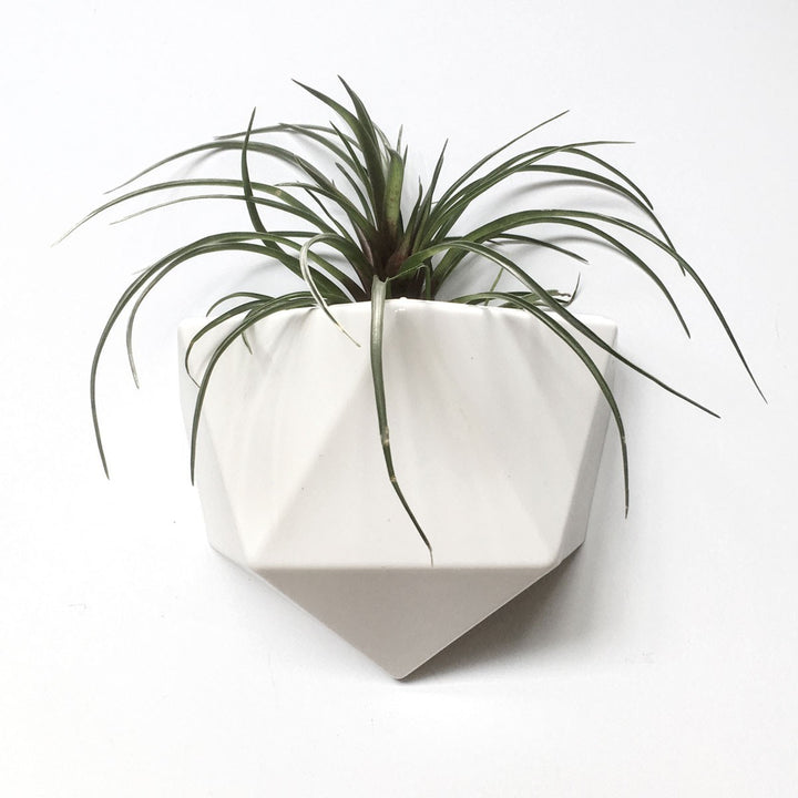 Magnetic wall tray ICO - white